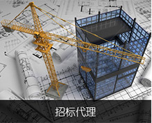 南京普蘭寧建設(shè)工程咨詢有限公司