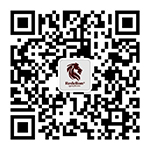这是描述信息