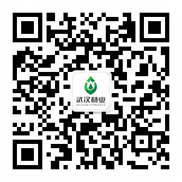 關(guān)注我們