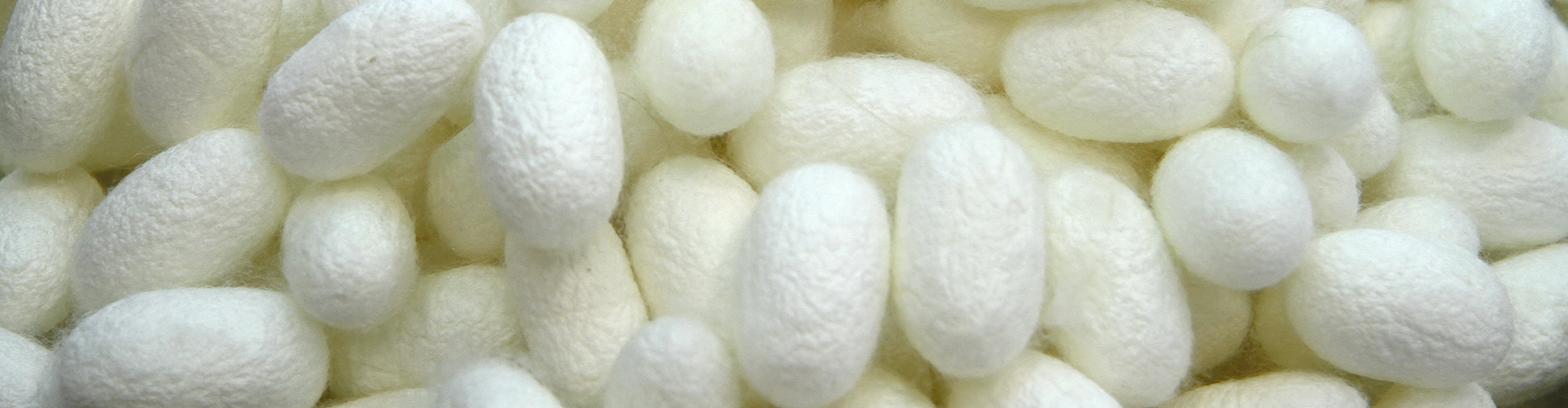這是描述信息