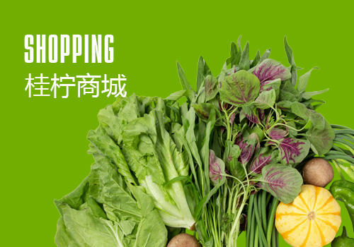 這是描述信息
