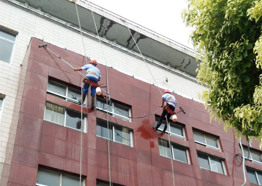 奧體家政