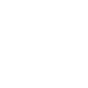 葚之源