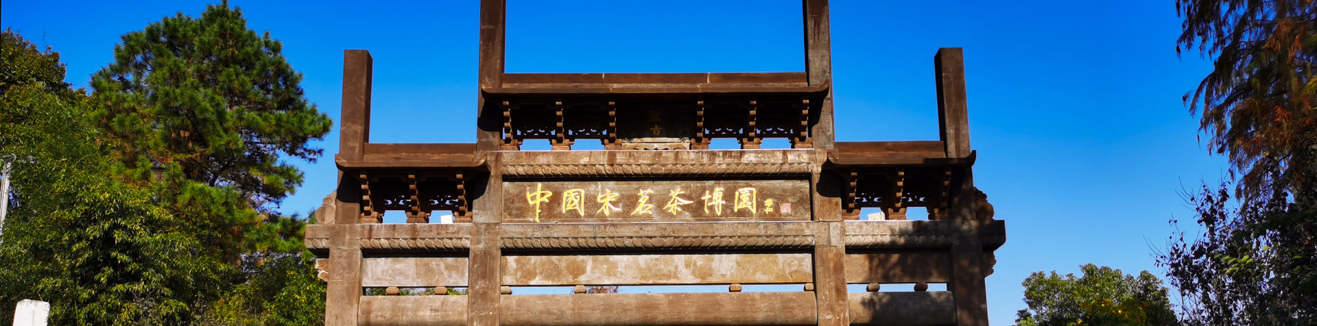 宋茗白茶 宋茗白茶