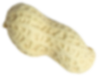 山東鶯歌食品有限公司