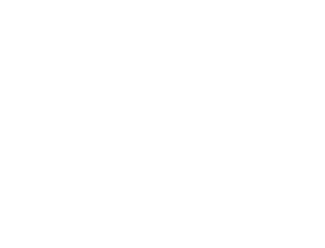 北方淄特