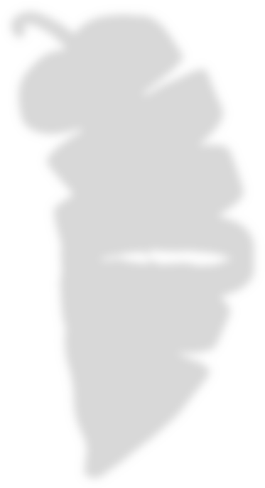 亚雄