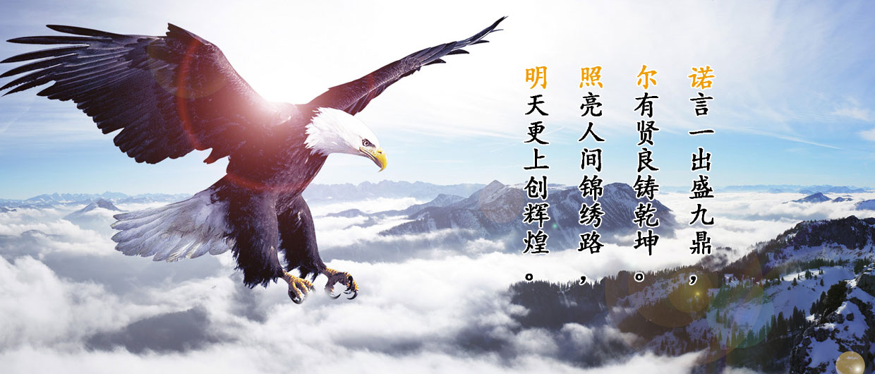 諾爾照明集團有限公司