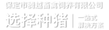 保定市騰越畜禽飼養(yǎng)有限公司