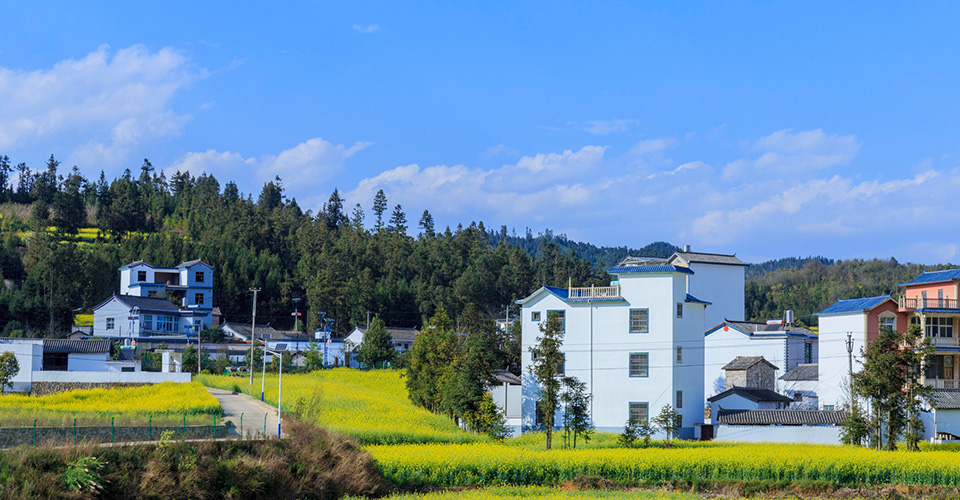 企業(yè)介紹 企業(yè)介紹
