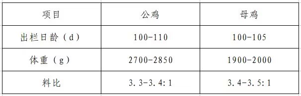 這是描述信息