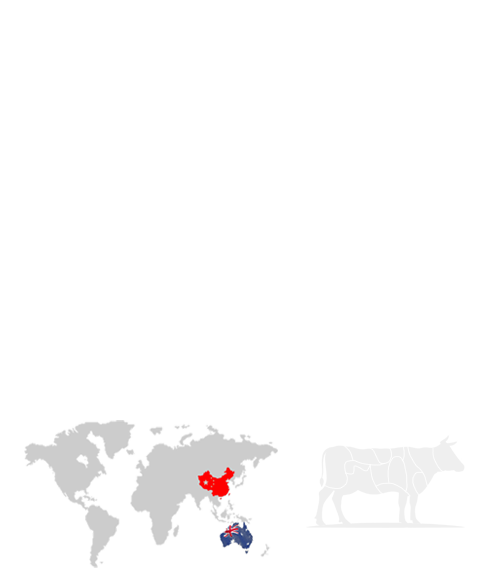 鑫茂