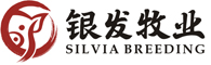 銀發(fā)牧業(yè) 銀發(fā)牧業(yè)