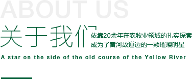 银香伟业