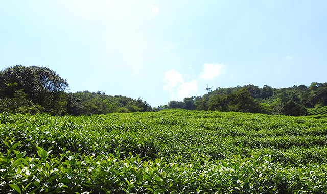 工藝設(shè)備創(chuàng)新