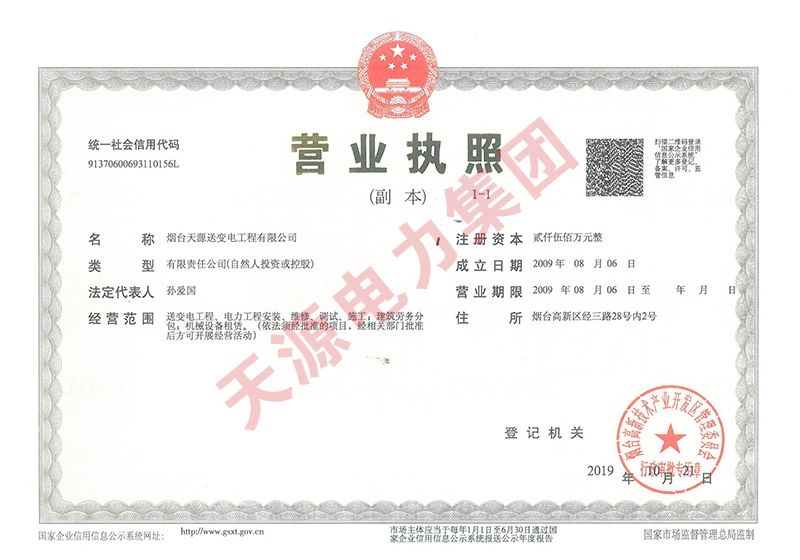 天源電力集團(tuán)