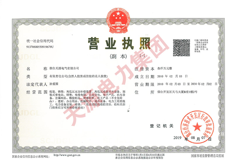 天源電力集團(tuán)