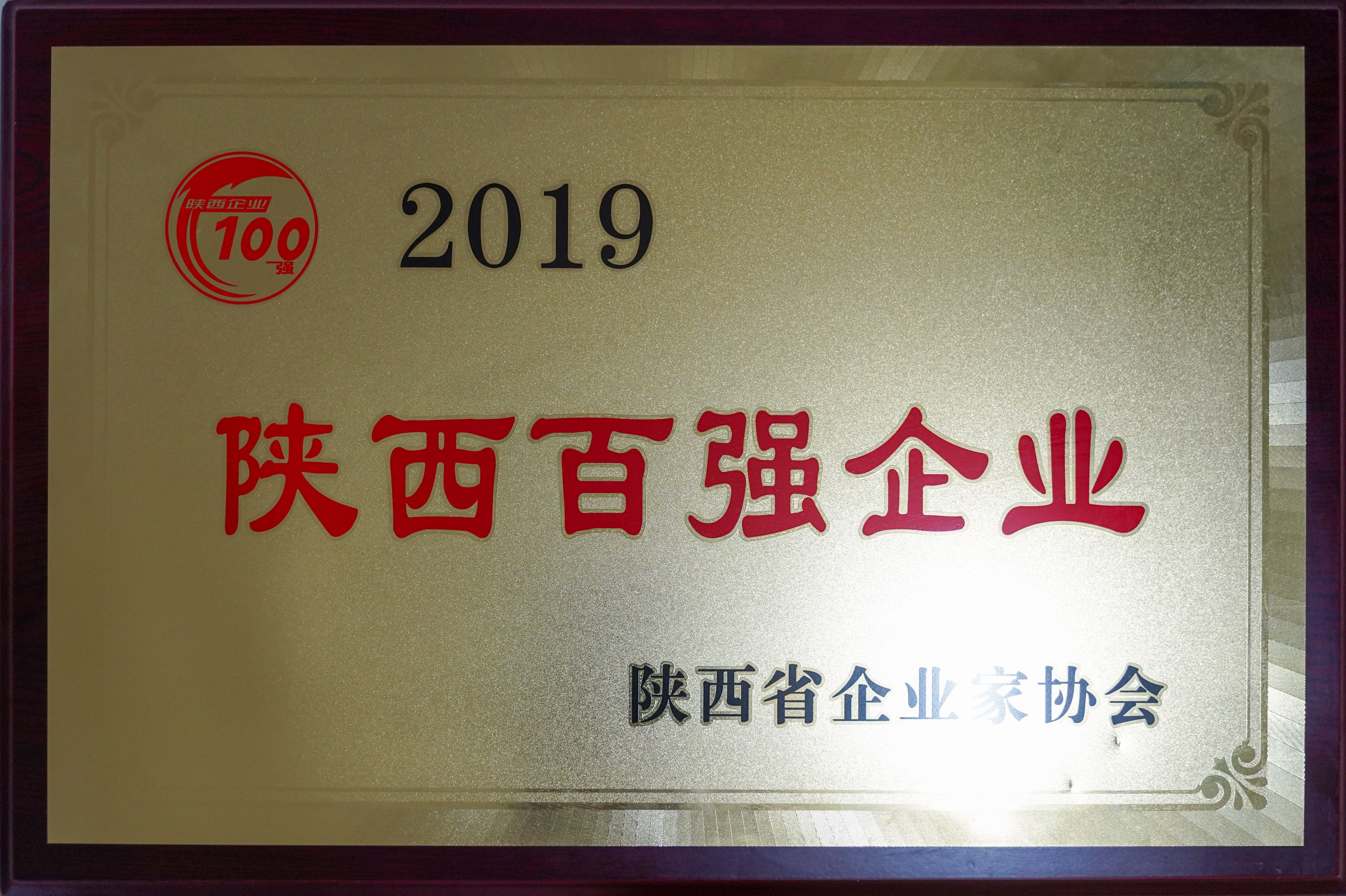 集團(tuán)榮獲2019年陜西百強(qiáng)企業(yè)