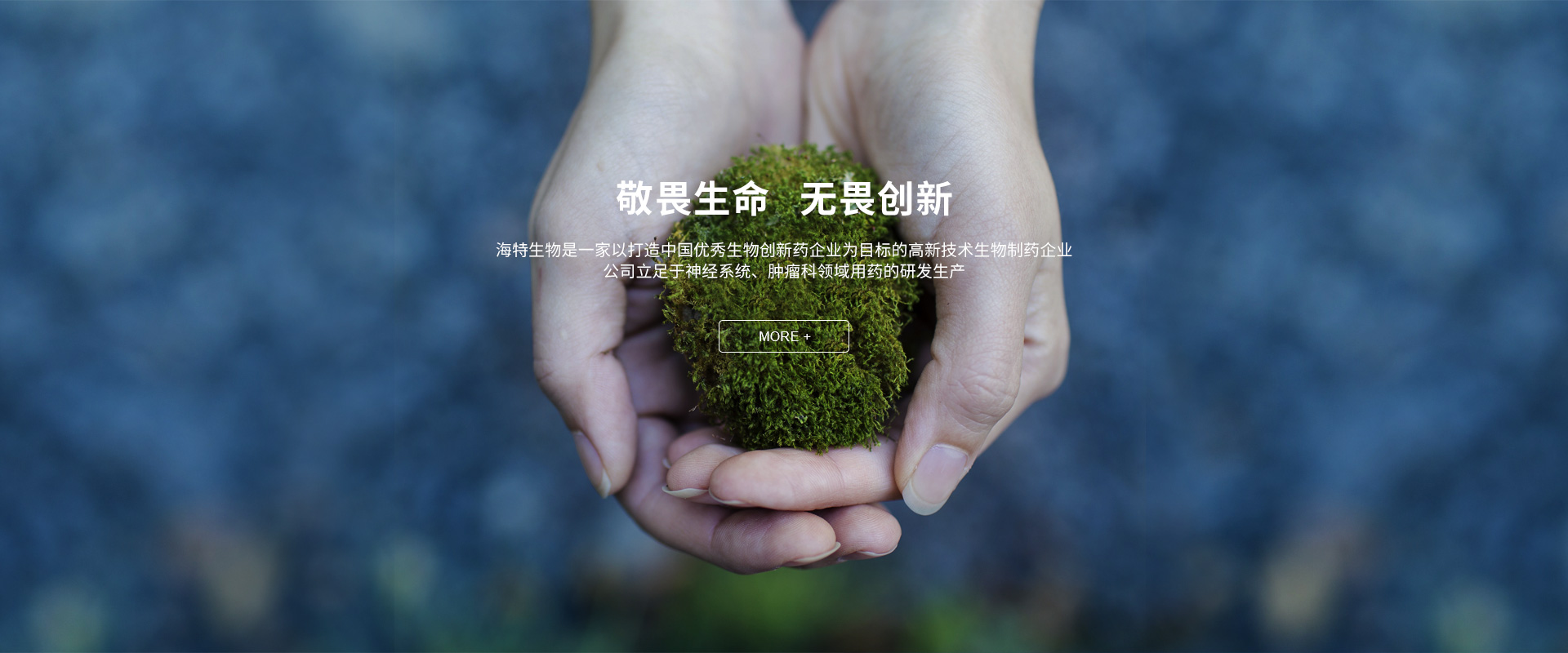 海特生物 海特生物