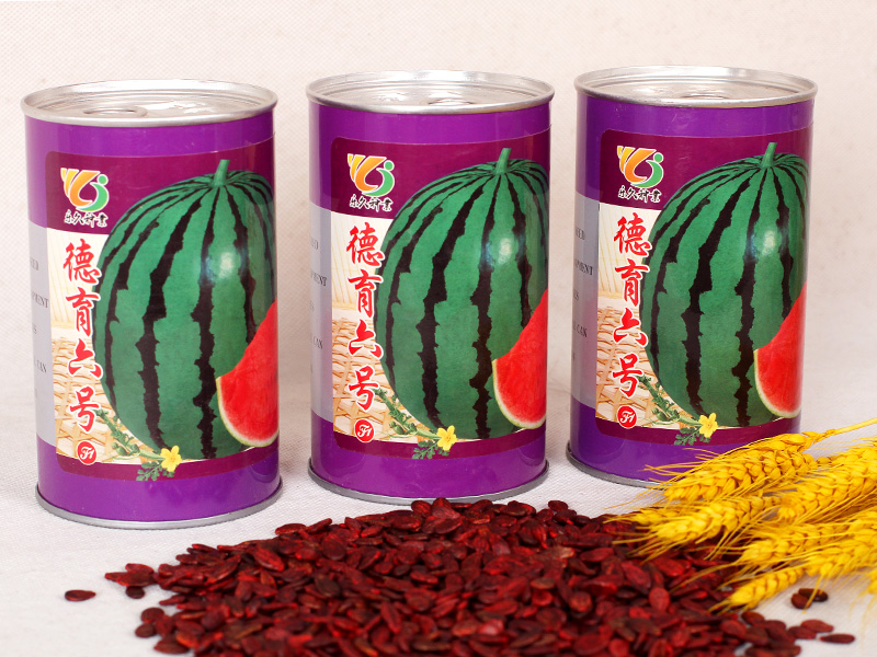 德育六號(hào)