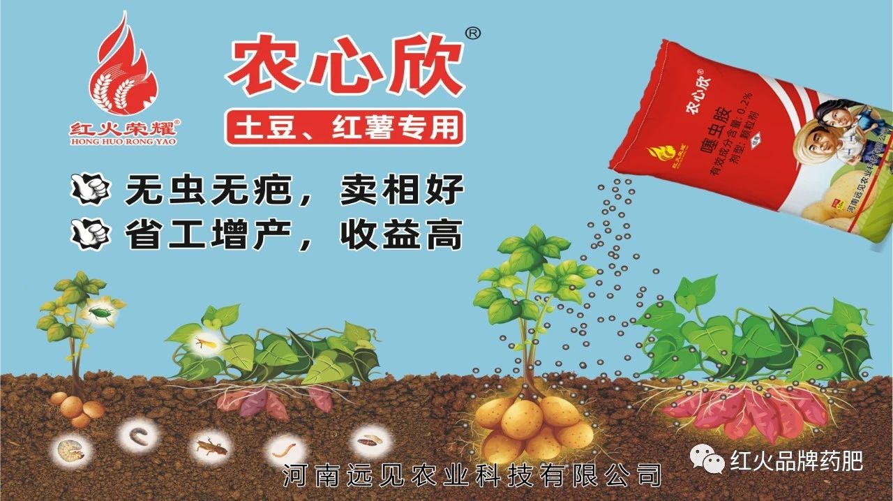喜讯！红火农心欣®被纳入由中国农药工业协会药肥专业委员会开展的药肥品牌培育计划了！