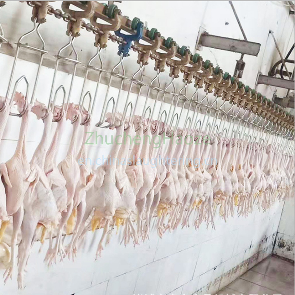 500BPH chicken slaughtering line