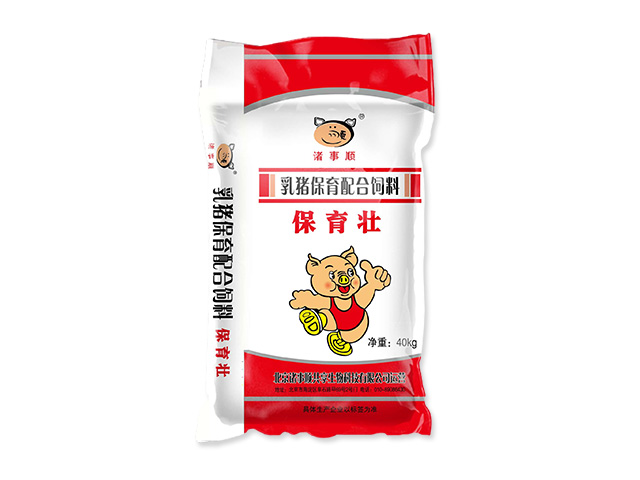保育壯