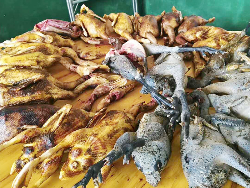 肉