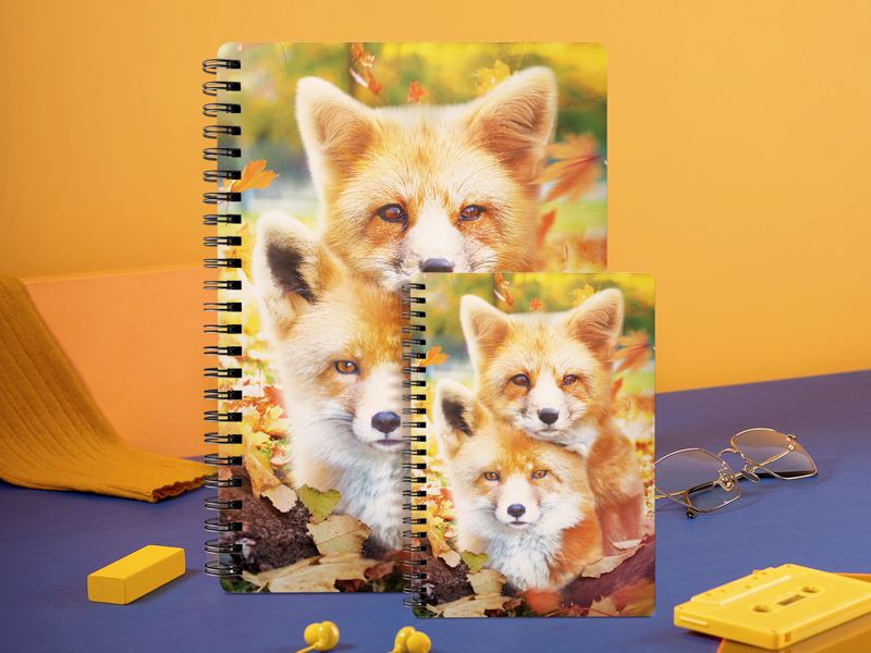 210X148-线圈笔记本-爱宠狐狸