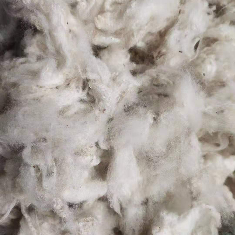 洗净毛