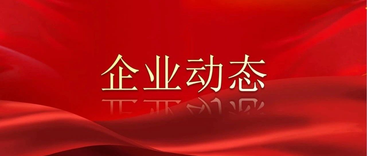王偉到洛銅集團檢查安全工作 王偉到洛銅集團檢查安全工作