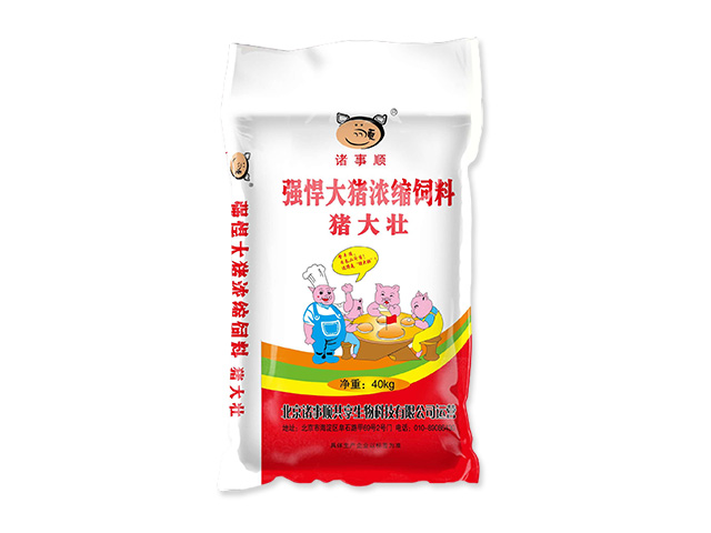 豬大壯