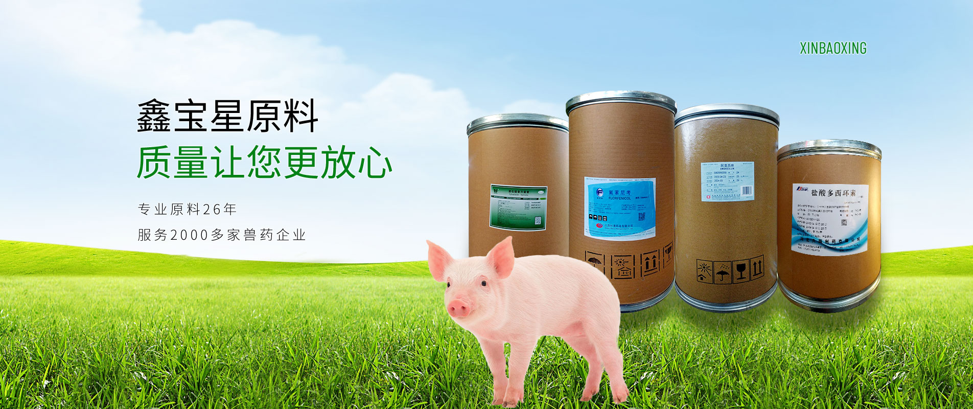 鑫寶星動(dòng)物藥業(yè) 鑫寶星動(dòng)物藥業(yè)