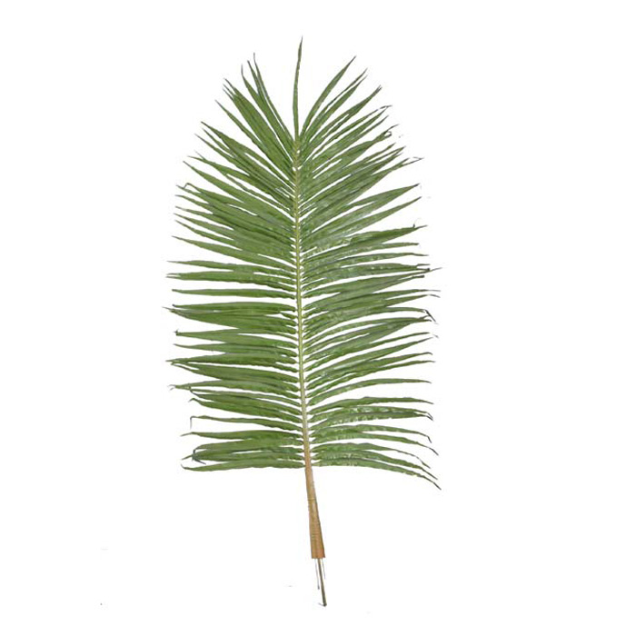 250CM椰子樹單葉連葉比