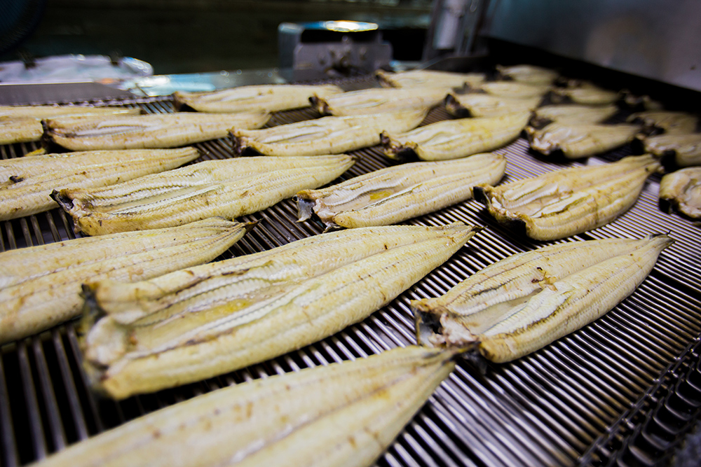 鰻魚加工