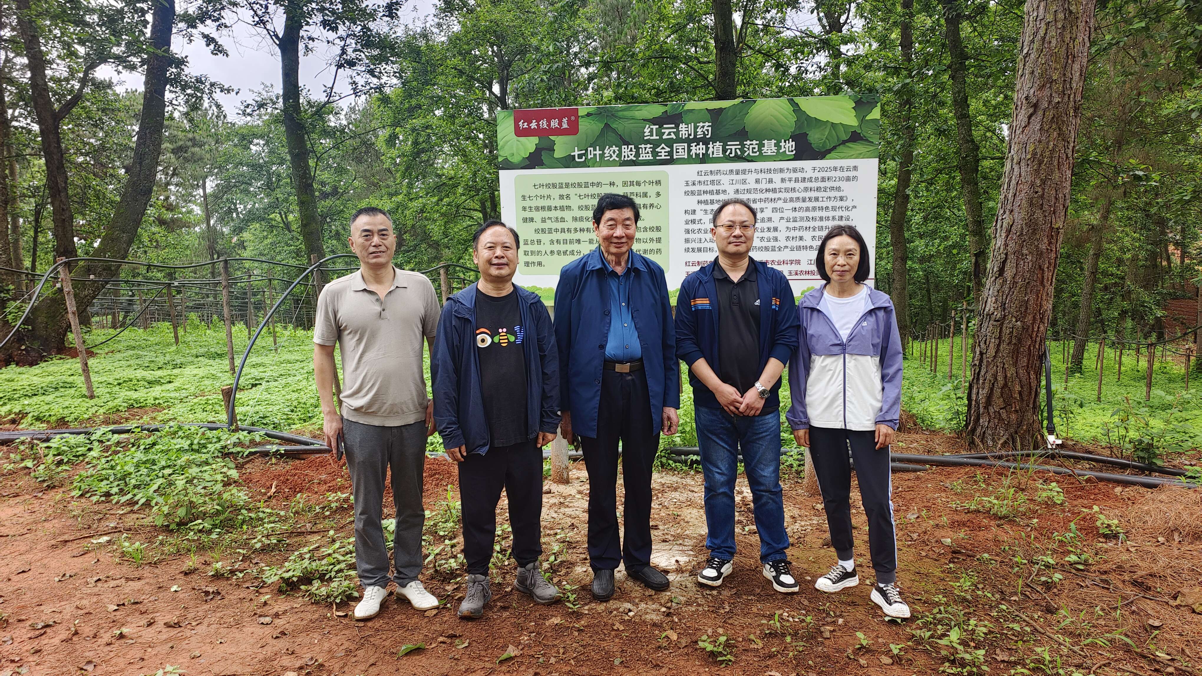 政企研多方合力--共推絞股藍(lán)產(chǎn)業(yè)高質(zhì)量發(fā)展