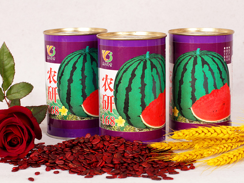 農(nóng)研168