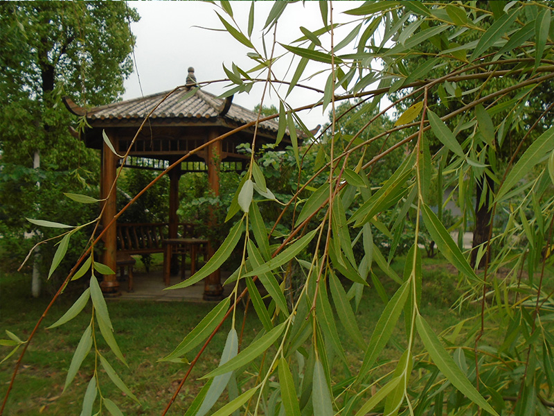 園區(qū)環(huán)境 園區(qū)環(huán)境