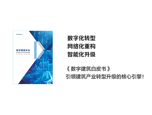 《2024欧洲杯买球入口》白皮书发布 