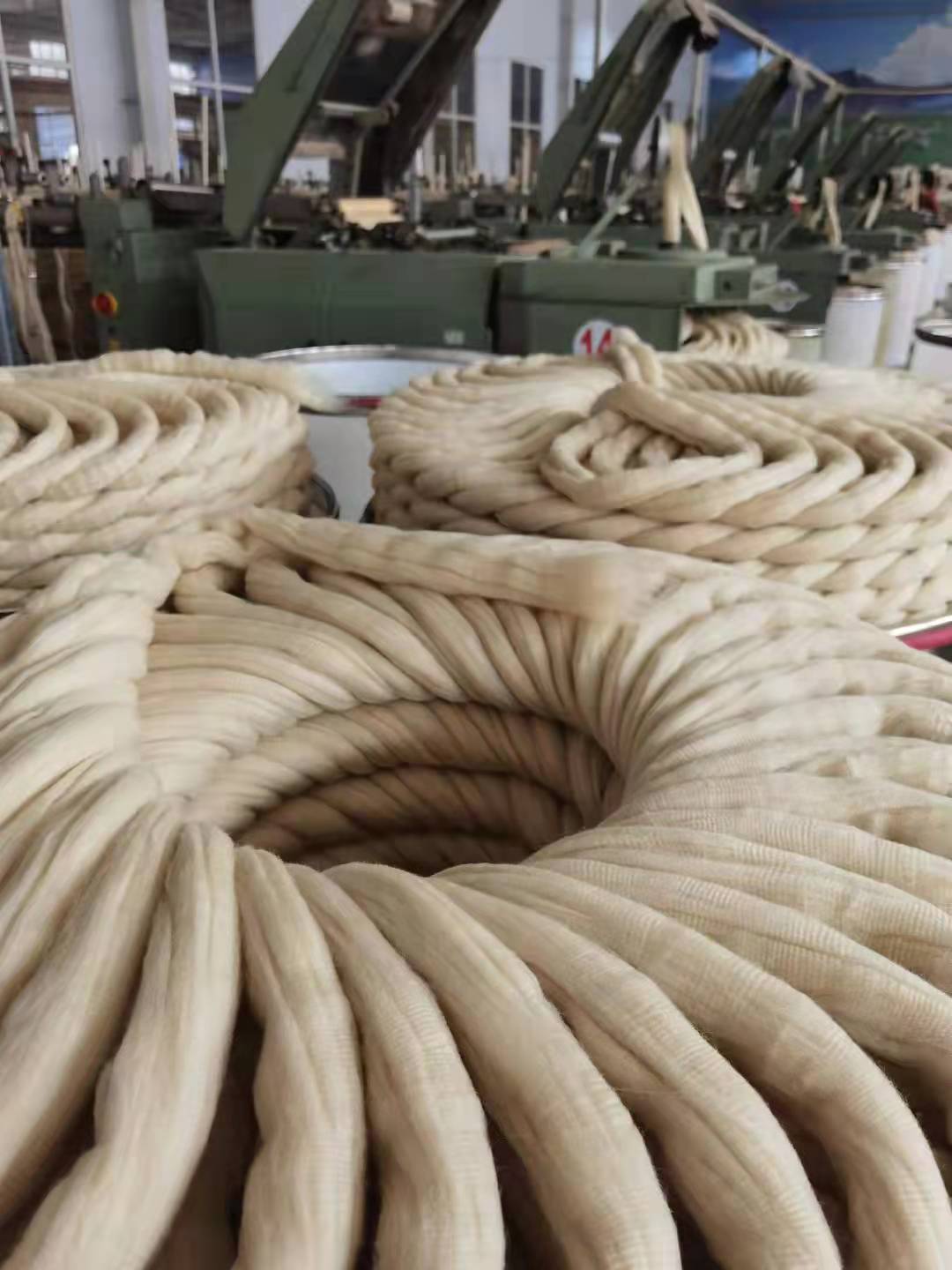 毛条