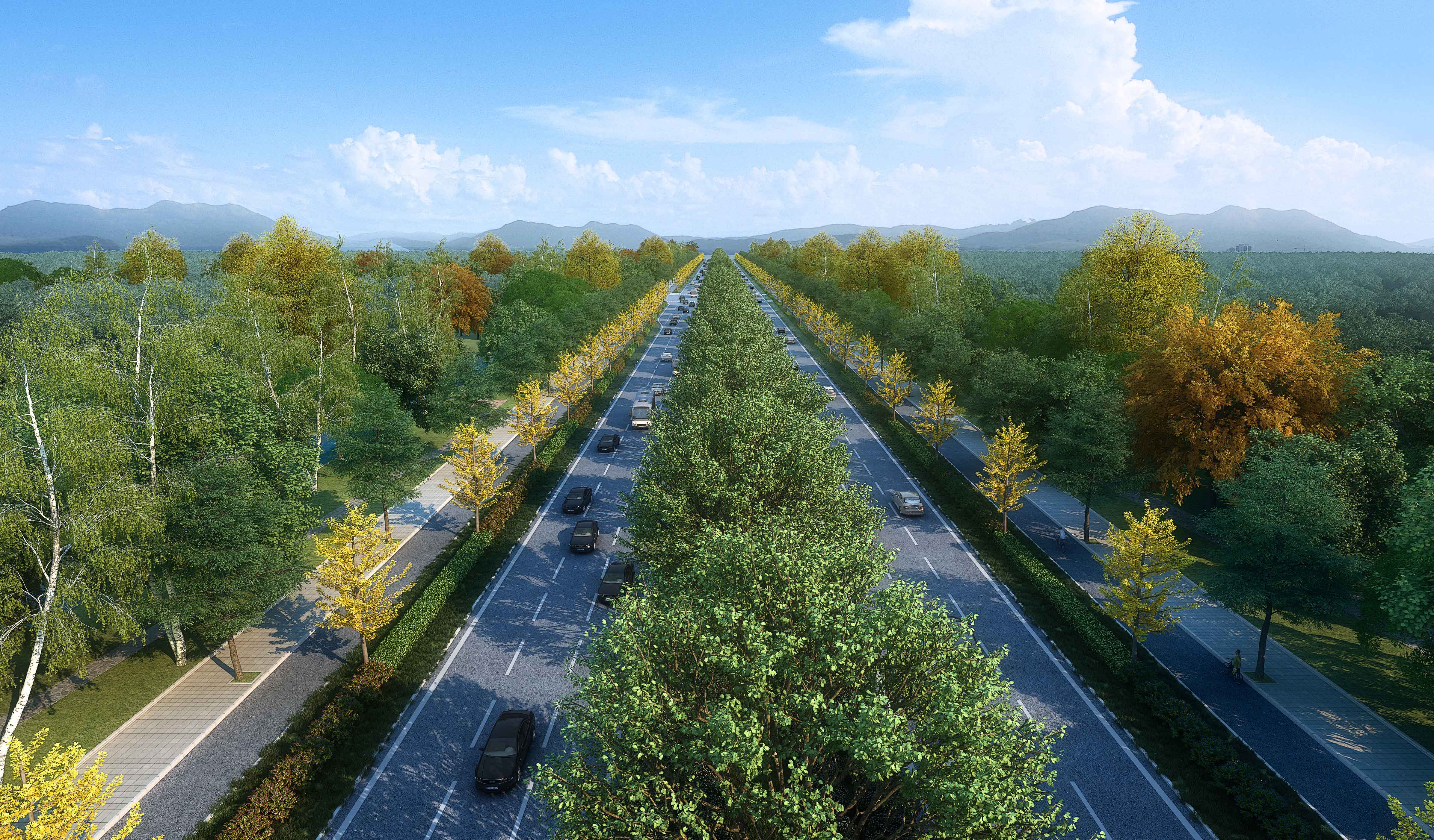 大礼路（大广高速~京台高速）道路及综合管廊工程（七标段）项目-(1)