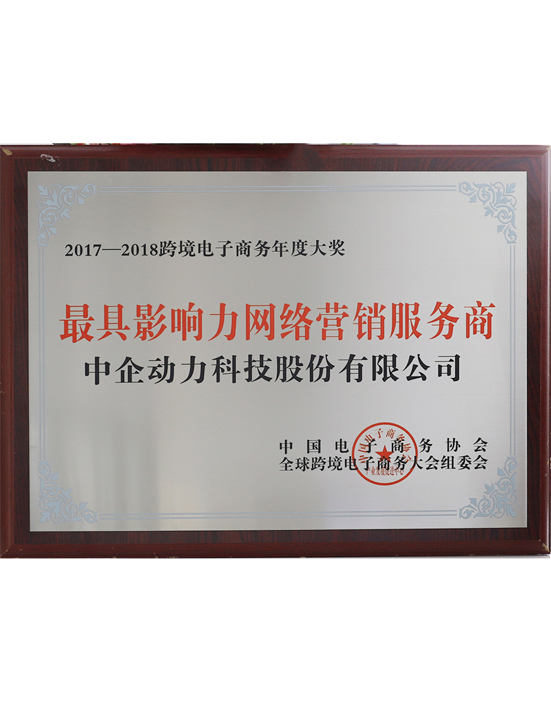 最具影響力網絡營銷服務商