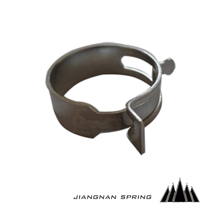 Hose clamp