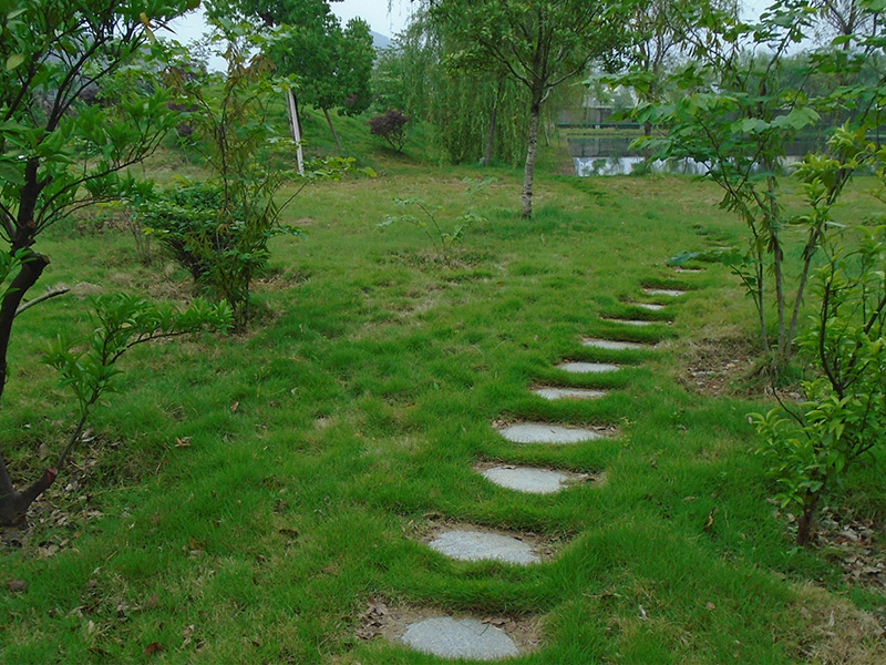 園區(qū)環(huán)境 園區(qū)環(huán)境