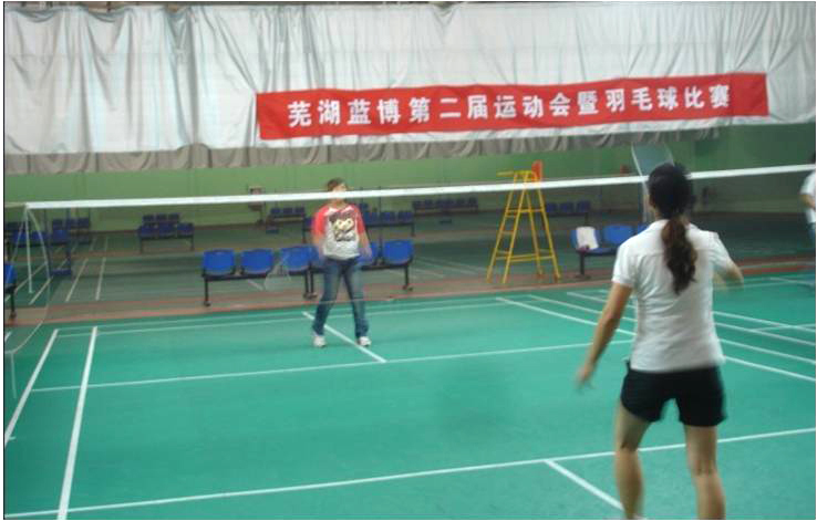 羽毛球比賽