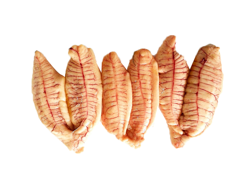 魚籽