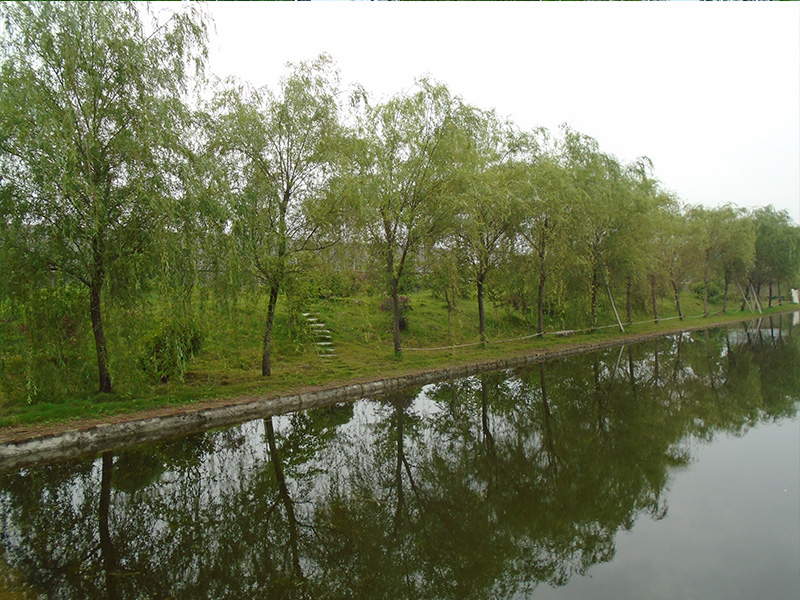 園區(qū)環(huán)境 園區(qū)環(huán)境