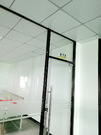 ff80f8