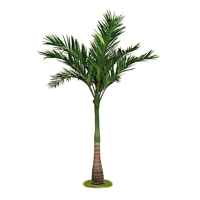 380CM-大王椰子樹