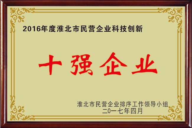 十強企業(yè)